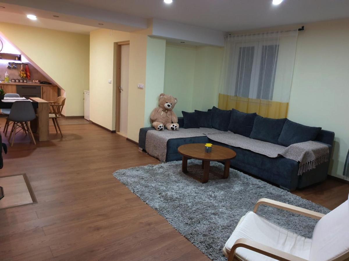Nikas Apartman Donji Milanovac Bagian luar foto