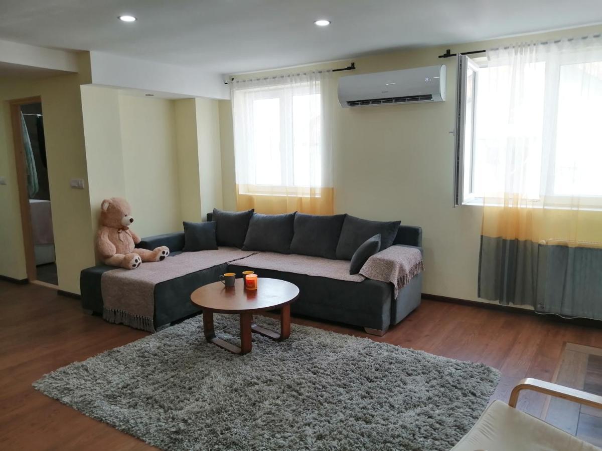 Nikas Apartman Donji Milanovac Bagian luar foto